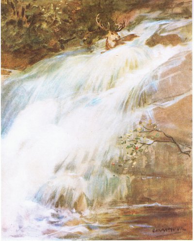 Han kastet hodet høyt i luften i en siste trass, stupte ned i fossen (farge litho) av George Denholm Armour