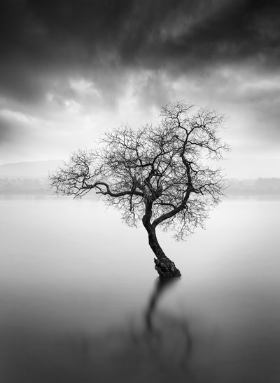  av George Digalakis