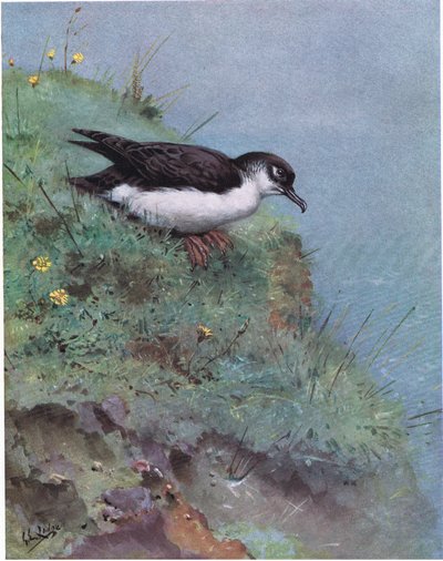 av George Edward Lodge
