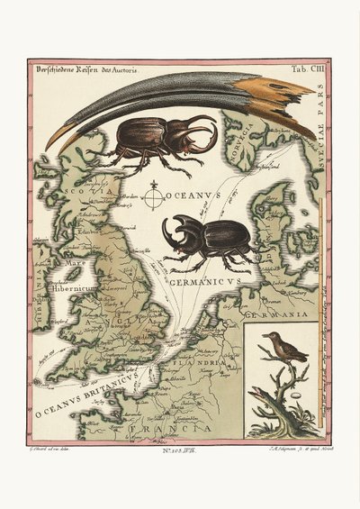 The Bill of the Egyptian Ibis and the least Hummingbird, 1749-73 av George Edwards