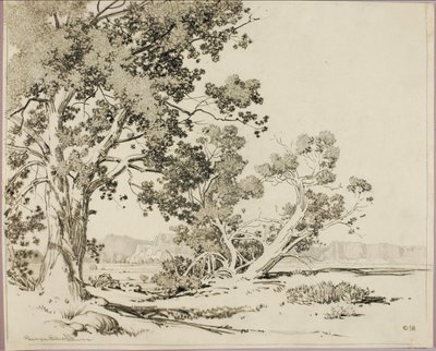  av George Elbert Burr