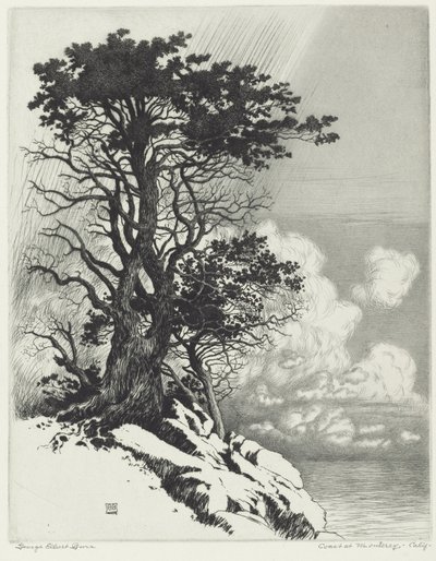 Kysten ved Monterey, California av George Elbert Burr