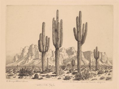 Desert Sentinels, Apache Trail, Arizona av George Elbert Burr