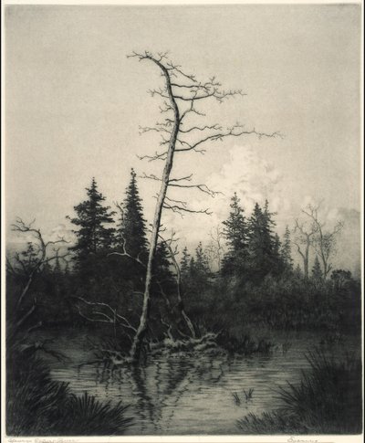  av George Elbert Burr