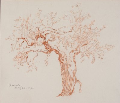  av George Elbert Burr