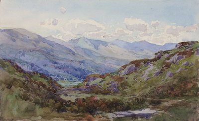 Fra oven Pont-y-Pant, 1899. av George Elbert Burr