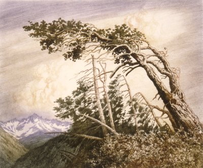  av George Elbert Burr