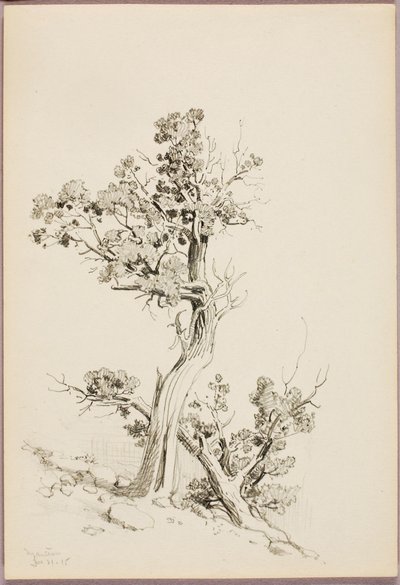  av George Elbert Burr