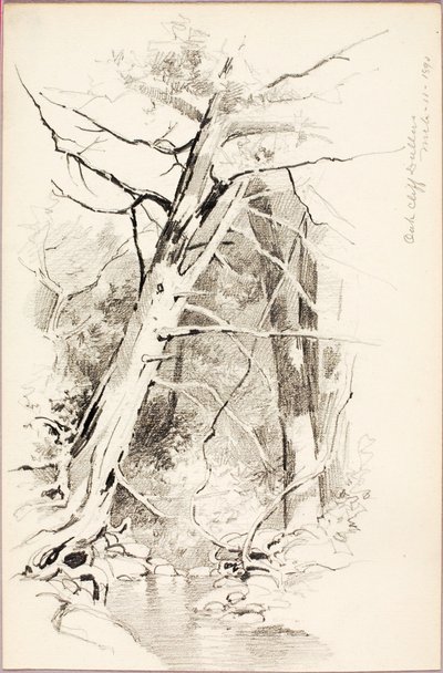  av George Elbert Burr