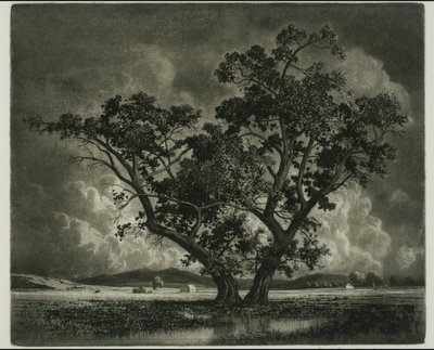  av George Elbert Burr