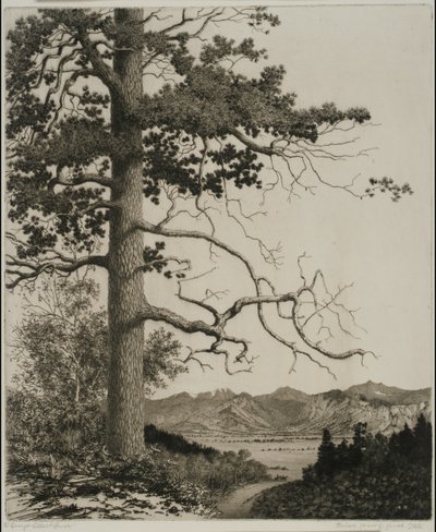 av George Elbert Burr