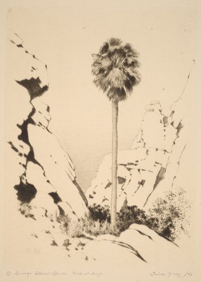  av George Elbert Burr
