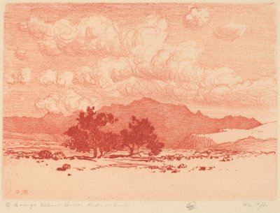 Palo Verde trær av George Elbert Burr