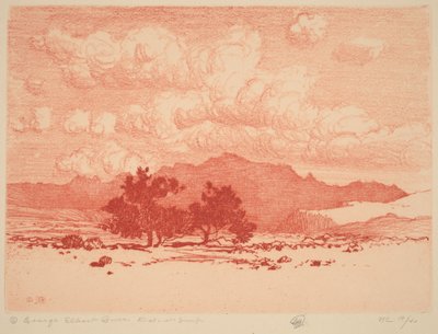 Palo verde-trær av George Elbert Burr