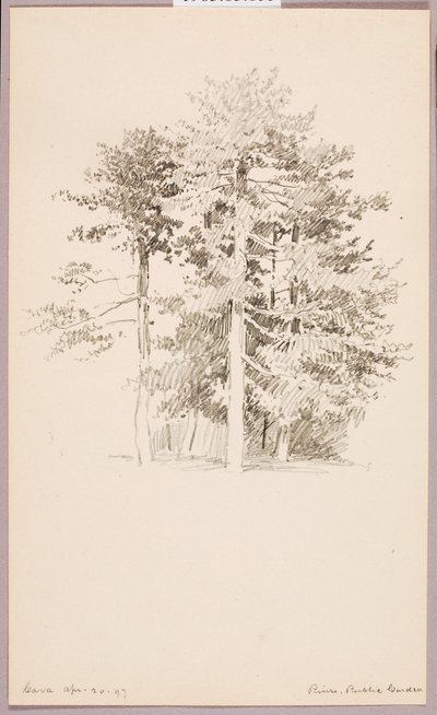  av George Elbert Burr