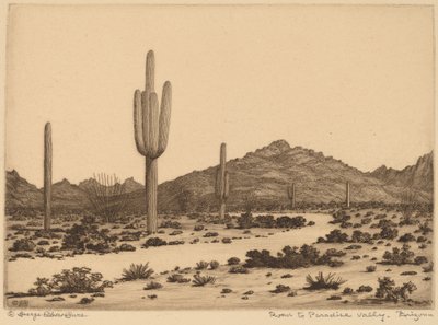 Veien til Paradise Valley, Arizona av George Elbert Burr