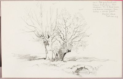  av George Elbert Burr