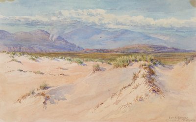  av George Elbert Burr