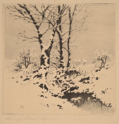 Snø av George Elbert Burr