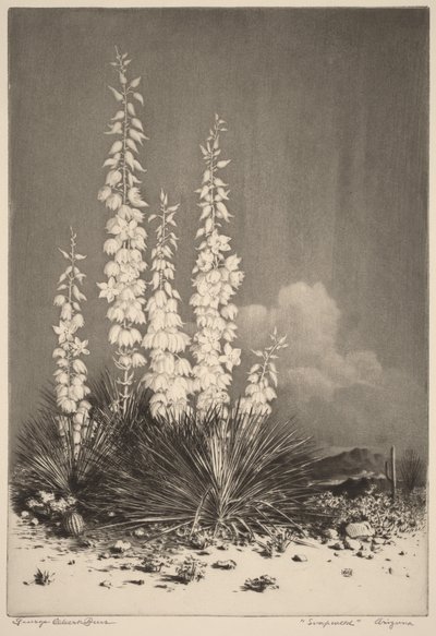  av George Elbert Burr