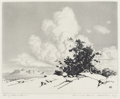 Summer Cloud, Apache Trail, Arizona av George Elbert Burr