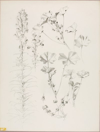  av George Elbert Burr