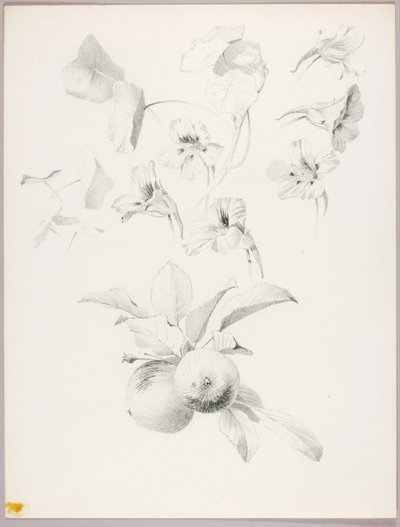  av George Elbert Burr