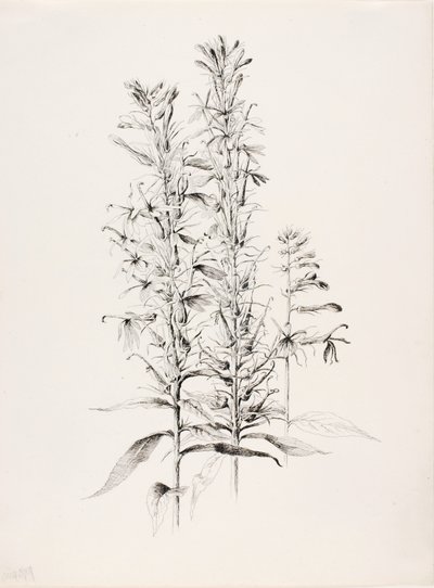  av George Elbert Burr