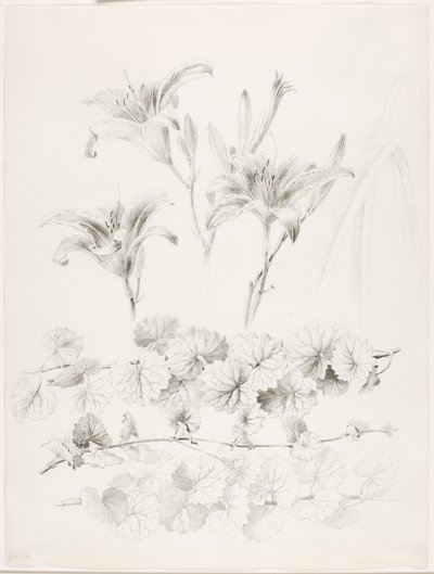  av George Elbert Burr