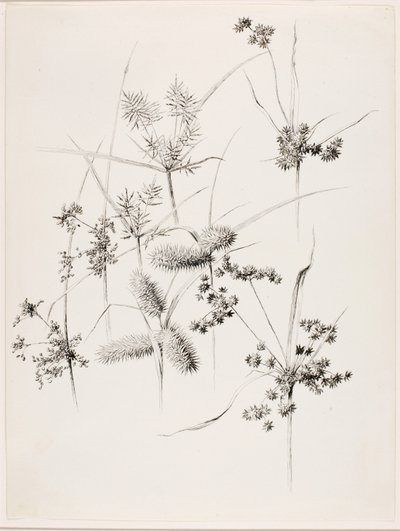  av George Elbert Burr