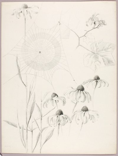  av George Elbert Burr