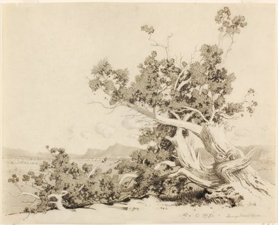  av George Elbert Burr
