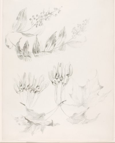  av George Elbert Burr