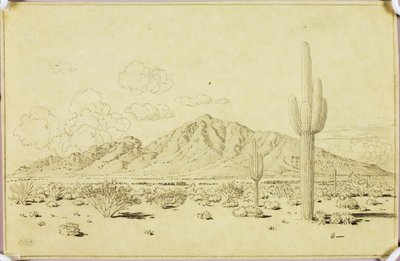 Uten tittel (overføringstegning for Camelback Mountain, Phoenix) av George Elbert Burr