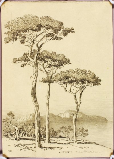  av George Elbert Burr