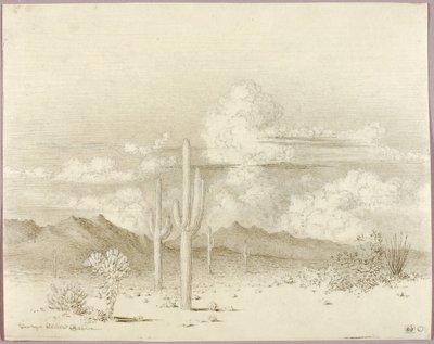 Uten tittel (overføringstegning til Kveld, Paradise Valley, Arizona) av George Elbert Burr