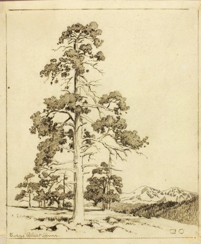 Uten tittel (overføringstegning for trykk) av George Elbert Burr