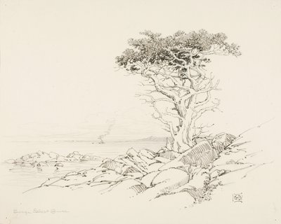  av George Elbert Burr