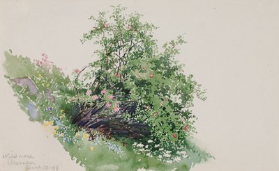  av George Elbert Burr