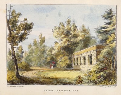 Aviary, Kew Gardens, plate 10 fra Kew Gardens: A Series of Twenty-Four Drawings on Stone, gravert av Charles Hullmandel (1789-1850) utgitt 1820 (håndfarget lito) av George Ernest after Papendiek