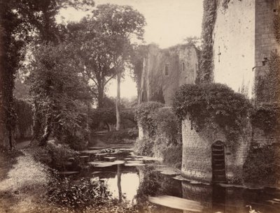 Raglan slott, 1860-tallet (bilde) av George Esq. Shadbolt