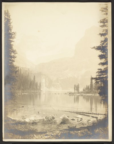  av George Fiske