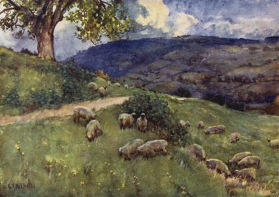 Et Cotswold sauebeite av George Franck Nicholls
