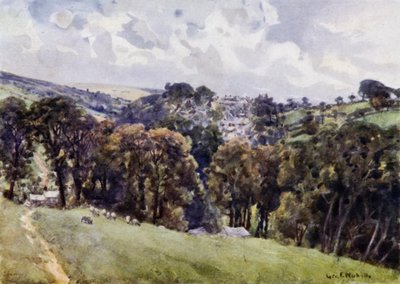Camelford (farge litho) av George Franck Nicholls