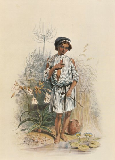  av George French Angas