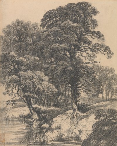 Et skogkledd landskap med basseng av George Frost