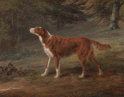 Ranger, en setter, eiendommen til Elizabeth Gray av George Garrard