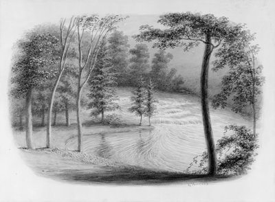 A Brook fra Hosack Album, . av George Harvey