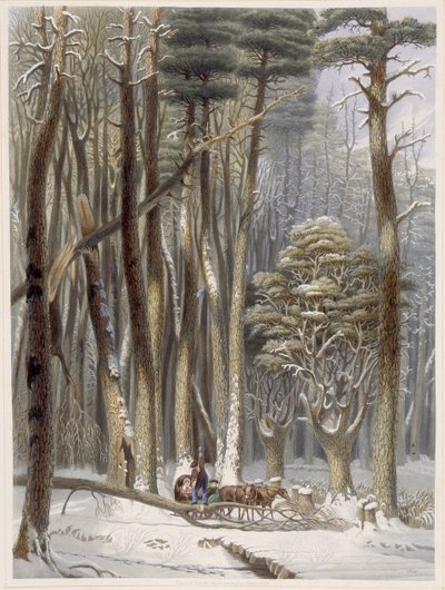 Winter, Impeded Traveler in a Pine Forest, fra Harveys Scenes of the Primitive Forest of America, 1841 (håndfarget akvatint) av George Harvey