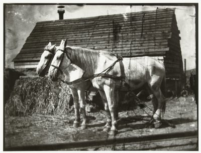 Hester ved Cruquiusweg av George Hendrik Breitner